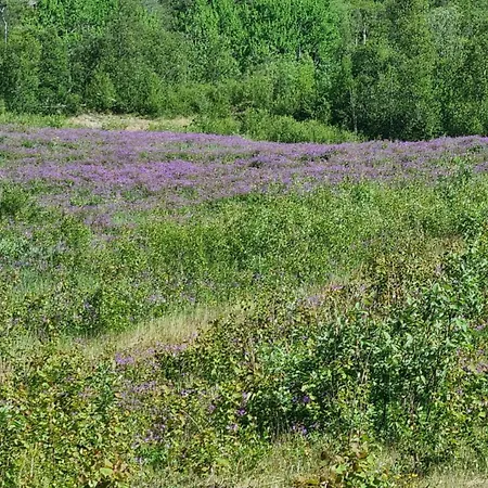 Bloksberg - With Amazing View And Inn-out Dom wakacyjny *